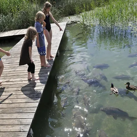 Ilsenhof Am Turnersee Casa vacanze Obersammelsdorf