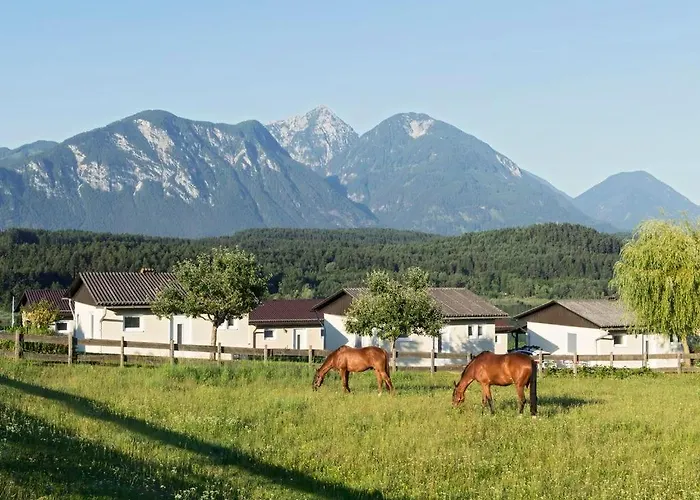 Prázdninový dům Ilsenhof Am Turnersee *