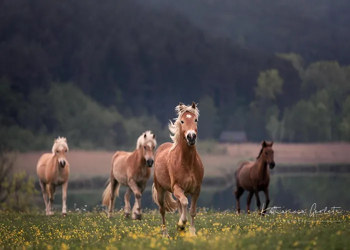 Prázdninový dům Ilsenhof Am Turnersee Obersammelsdorf
